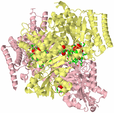 Image Biol. Unit 1 - sites