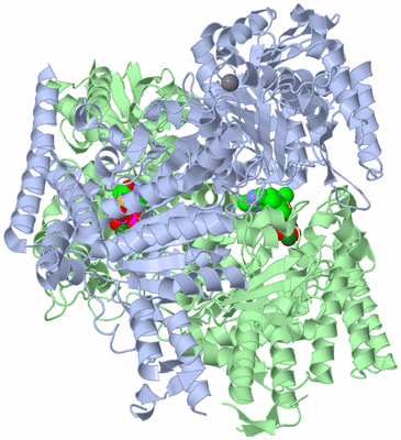 Image Biological Unit 2