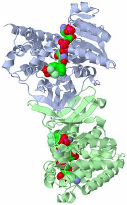 Image Asym./Biol. Unit