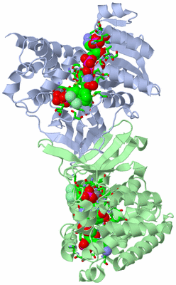 Image Asym./Biol. Unit - sites