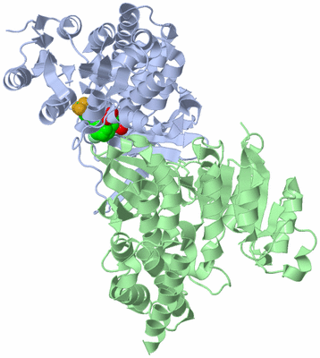 Image Asym./Biol. Unit