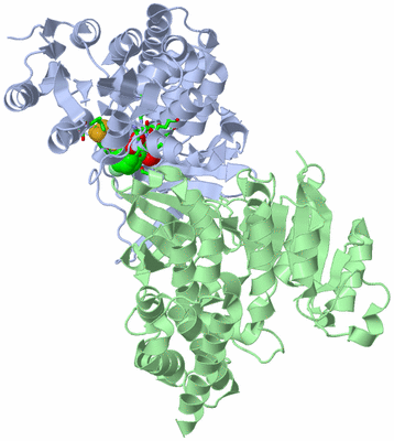 Image Asym./Biol. Unit - sites