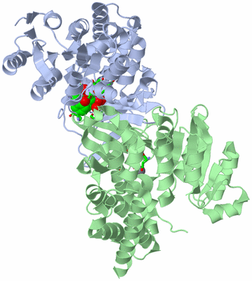 Image Asym./Biol. Unit - sites