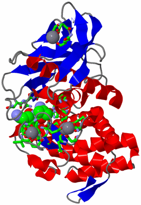 Image Asym./Biol. Unit - sites