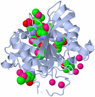 Image Biological Unit 1