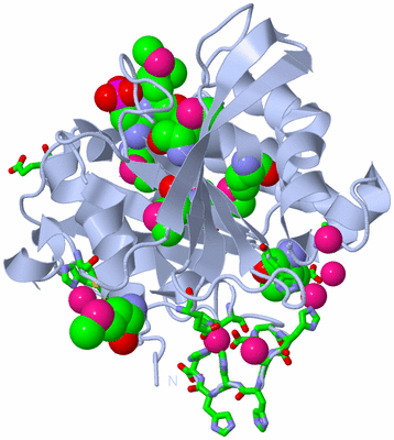 Image Biol. Unit 1 - sites