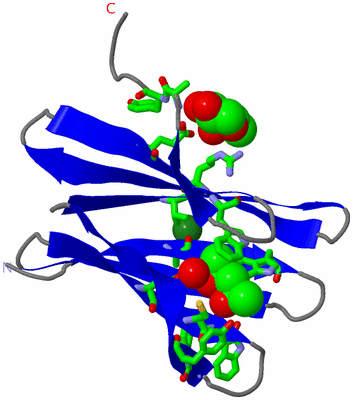 Image Asym. Unit - sites