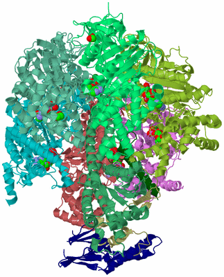 Image Biological Unit 1