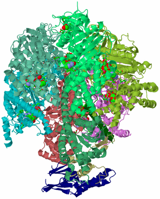 Image Biol. Unit 1 - sites