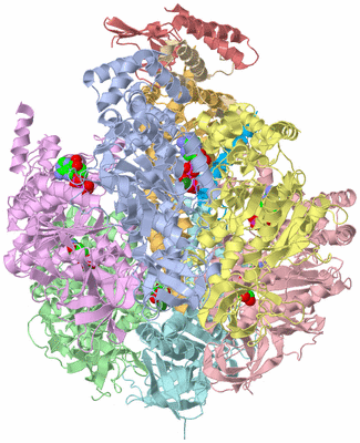 Image Biological Unit 2