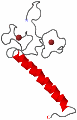 Image NMR Structure - model 1