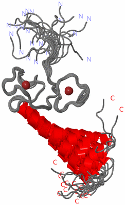 Image NMR Structure - all models