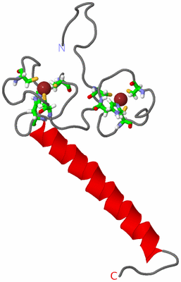 Image NMR Structure - model 1, sites