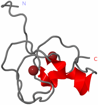 Image NMR Structure - model 1