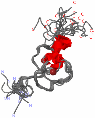 Image NMR Structure - all models