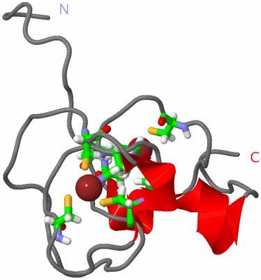 Image NMR Structure - model 1, sites