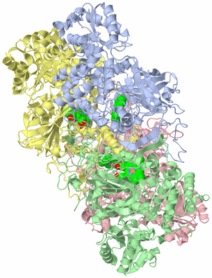 Image Asym./Biol. Unit