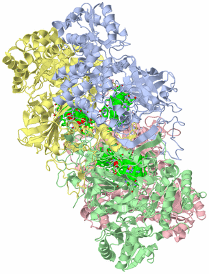 Image Asym./Biol. Unit - sites