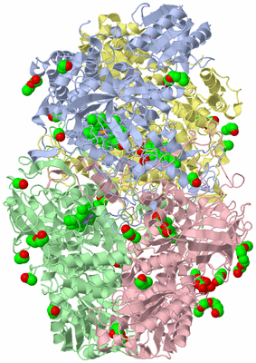 Image Asym./Biol. Unit