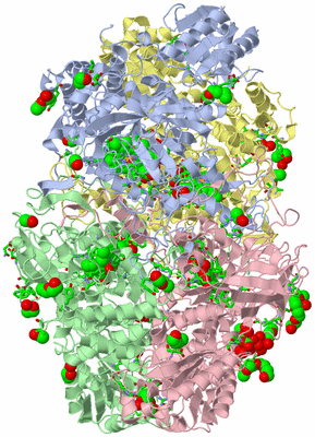 Image Asym./Biol. Unit - sites