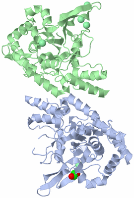 Image Asym./Biol. Unit