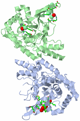 Image Asym./Biol. Unit - sites