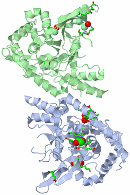 Image Asym./Biol. Unit - sites