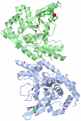 Image Asym./Biol. Unit - sites