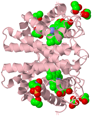 Image Biological Unit 1