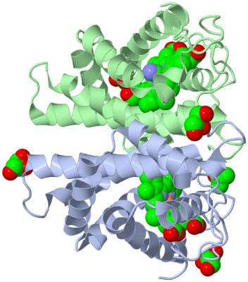 Image Biological Unit 2