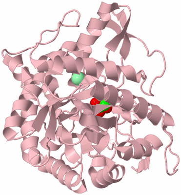 Image Biological Unit 3