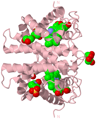 Image Biological Unit 1