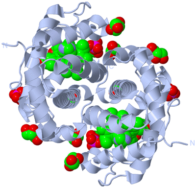 Image Biological Unit 1