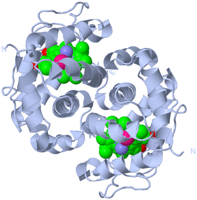 Image Biological Unit 1