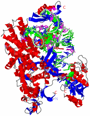 Image Asym./Biol. Unit