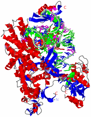 Image Asym./Biol. Unit - sites