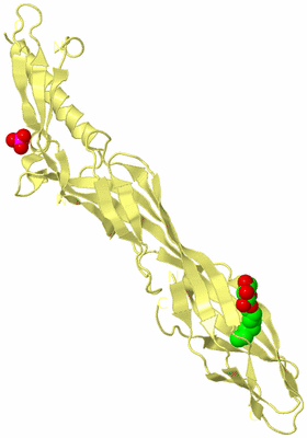 Image Biological Unit 4