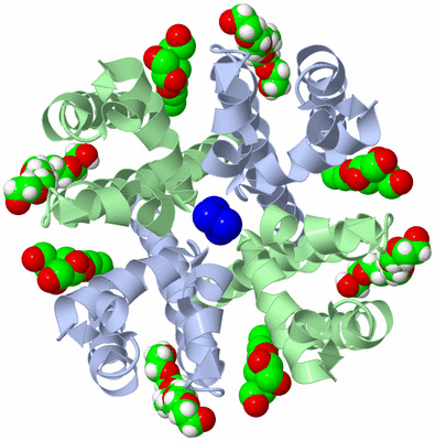 Image Biological Unit 1