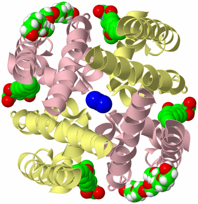 Image Biological Unit 2