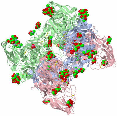 Image Biological Unit 1