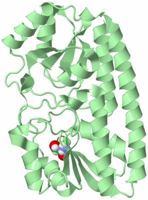 Image Biological Unit 2