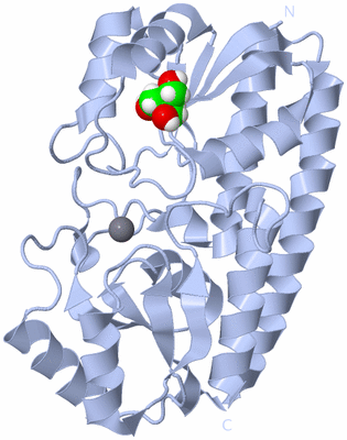 Image Biological Unit 1