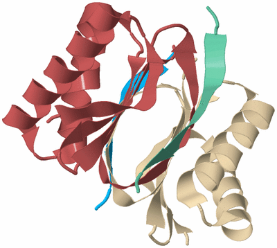 Image Biological Unit 3