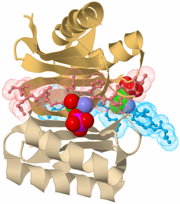 Image Biological Unit 3