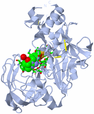 Image Biol. Unit 1 - sites