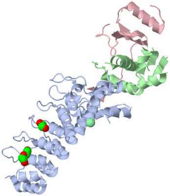 Image Biological Unit 1