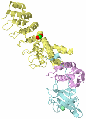 Image Biological Unit 2