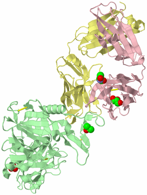 Image Biological Unit 2