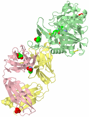 Image Biological Unit 1