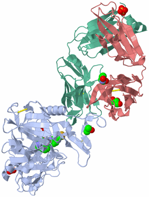 Image Biological Unit 2